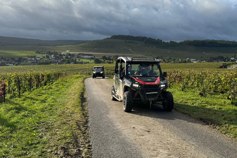 Champagne vineyards: 2-hour guided tour of the vineyards in a Buggy