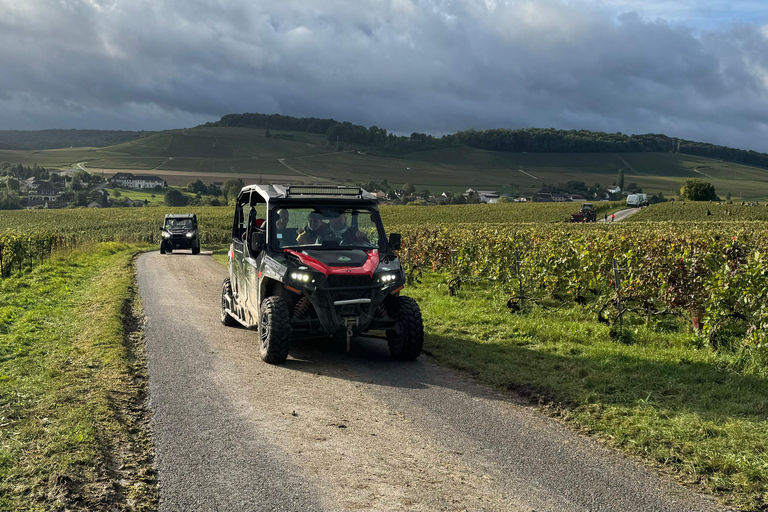 Champagne vineyards: 2-hour guided tour of the vineyards in a Buggy