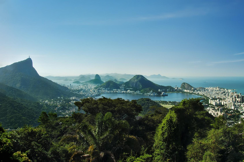 Rio de Janeiro: Private Tour Tijuca Forest & Santa Teresa