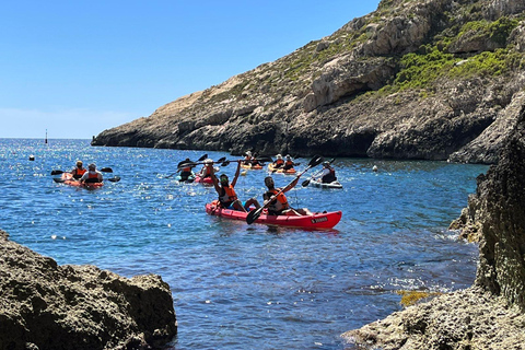 Gozo Kayak Tours