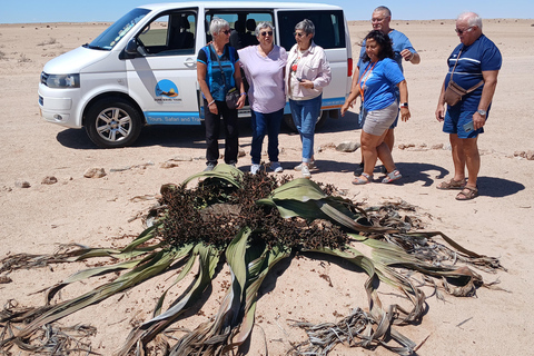 Walvis Bay to Swakopmund Tour: Coastal Gems & Desert Magic