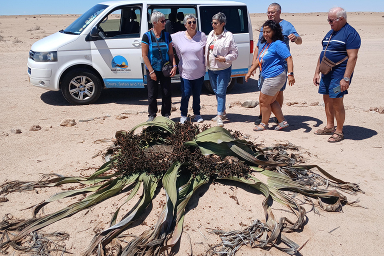 Walvis Bay to Swakopmund Tour: Coastal Gems & Desert Magic