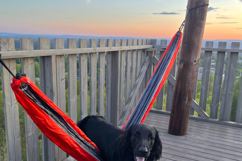 Oslo: Forest Hike with Panoramic Fjord Views and a dog