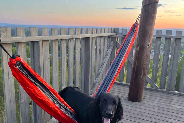 Oslo: Forest Hike with Panoramic Fjord Views and a dog