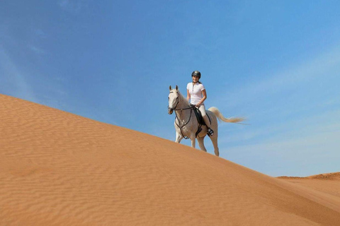 الدوحة: ركوب الخيل العربي في صحراء قطر مع النقل