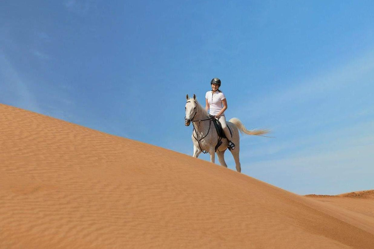 الدوحة: ركوب الخيل العربي في صحراء قطر مع النقل