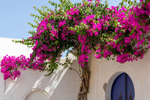 Djerbahood Made Easy: 2 Hours to Stroll Around - Shuttle Included Djerbahood Made Easy: 2 Hours to Stroll - Shuttle Included