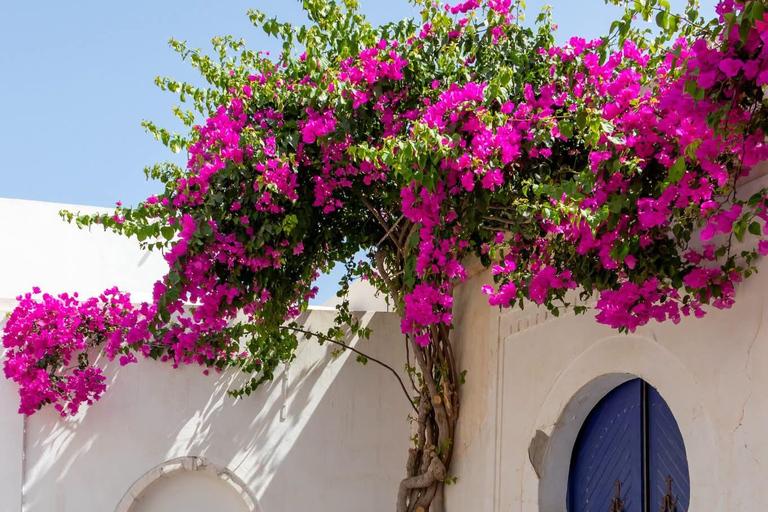 Djerbahood Made Easy: 2 Hours to Stroll Around - Shuttle Included Djerbahood Made Easy: 2 Hours to Stroll - Shuttle Included