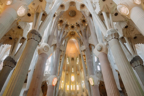 Gaudí Highlights Tour with Casa Batlló & Sagrada Família