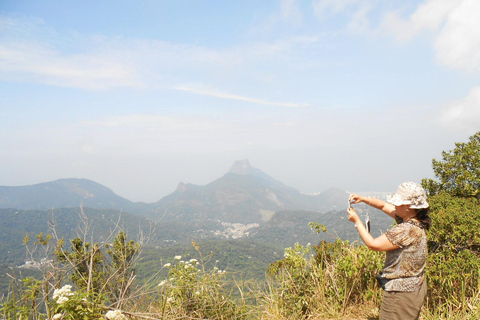 Rio de Janeiro: Wycieczka piesza na Pico da Tijuca