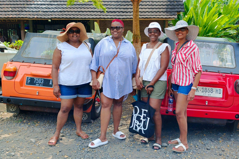 Ubud: Private Car Charter with Entry Fees Ubud Customizable Tour