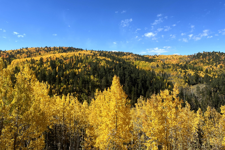 Colorado Springs: Cripple Creek Backcountry Jeep Tour