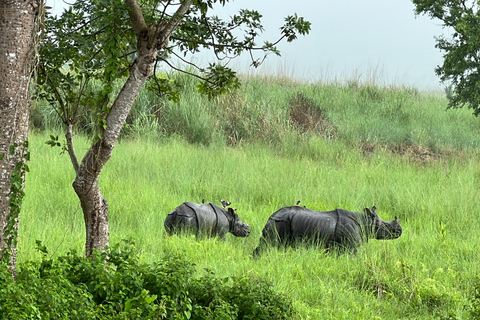 From Kathmandu to Chitwan: Jungle Safari + Meals &amp; Transport