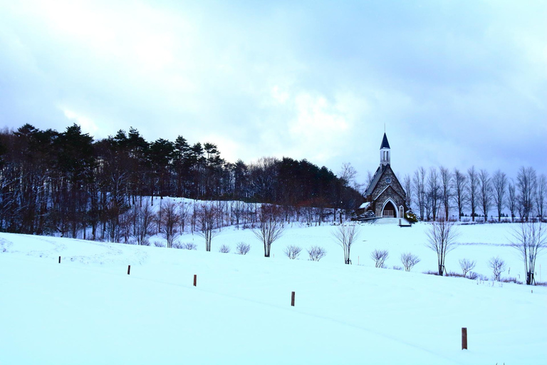 From Nagoya: Snow Day in the Japan Alps & Shirakawago Nagoya (tour + rental snow wear)