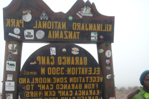 6 DAYS KILIMANJARO CLIMBING TOUR MACHAME ROUTE