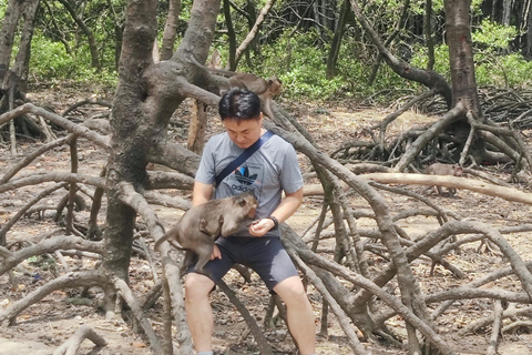 Excursão de 1 dia à floresta de mangue de Can Gio e à Ilha dos Macacos