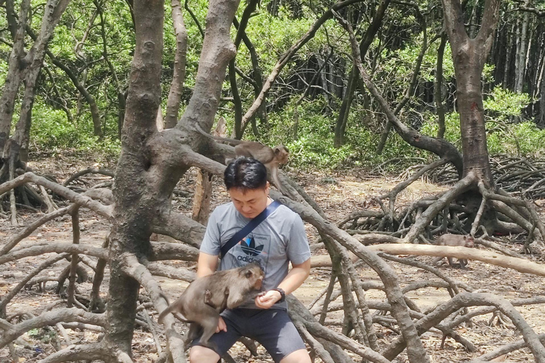 Visite d&#039;une jounée de la forêt de mangroves de Can Gio et de l&#039;île aux singes