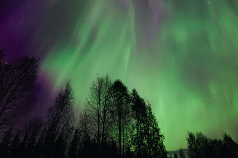 Levi: Nordlichter Pro garantiert – unbegrenzte EntfernungLevi: Nordlichter garantiert – unbegrenzte Entfernung