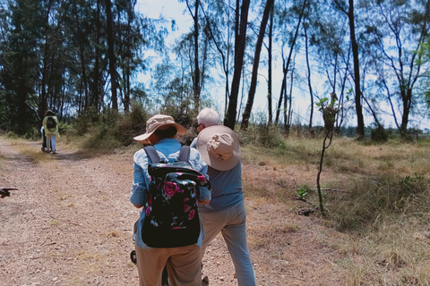 Mombasa: Old Town and Haller Park Guided Day Tour Afternoon Tours