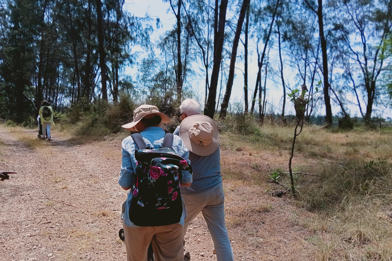 Mombasa: Old Town and Haller Park Guided Day Tour Haller Park Tour.