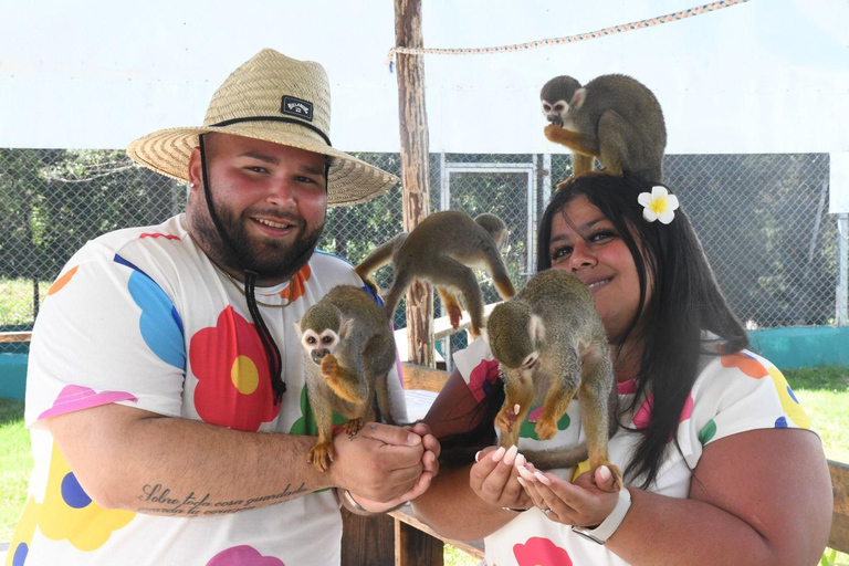 Amber Cove & Taino Bay: Private VIP Monkeys & Beach Escape