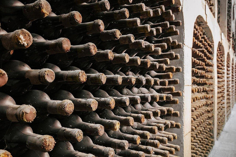 Chisinau: visita a la bodega Milestii Mici con 3 catas