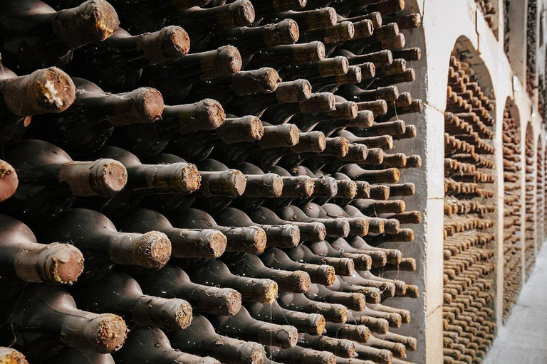 Chisinau: visita a la bodega Milestii Mici con 3 catas