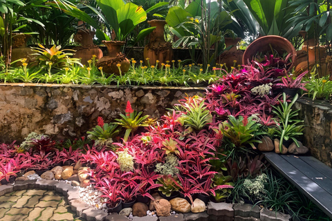 Private Nong Nooch Garden Tour: Lunch, shows & Dinosaurs