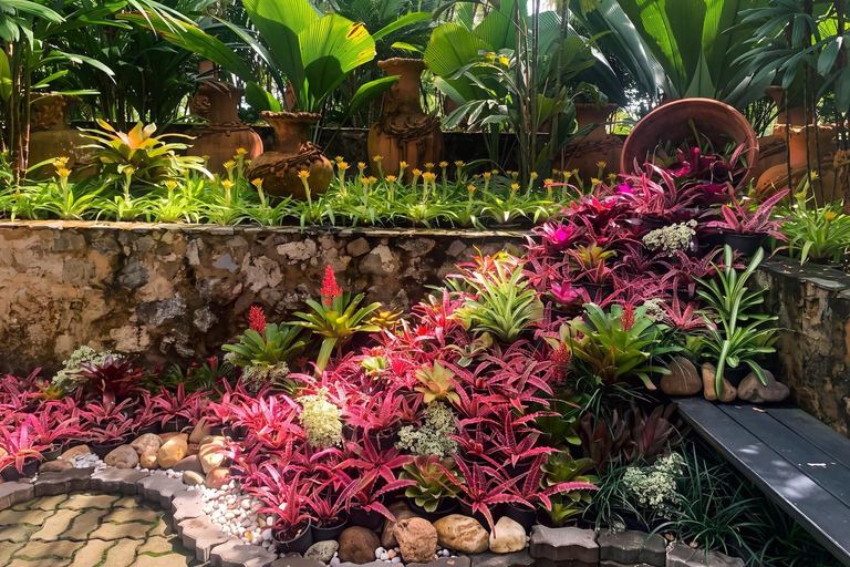 Private Nong Nooch Garden Tour: Lunch, shows & Dinosaurs