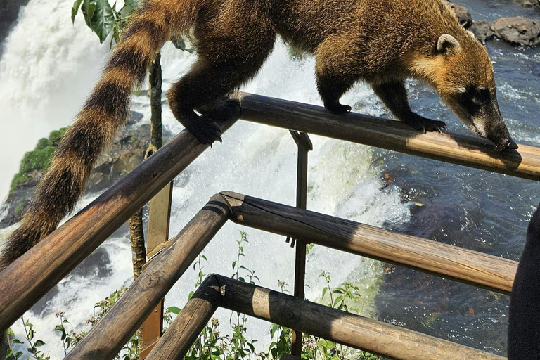 Luxury Private Iguazu Falls Tour – Argentina & Brazil