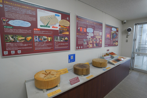 Naha: Okinawa Shuri Castle Peace Walking Tour