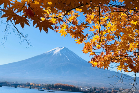 Tokyo: Private Daytrip to Mount Fuji - Fully Customizable Mt Fuji Private Luxury Van Tour (Customizable Experience)
