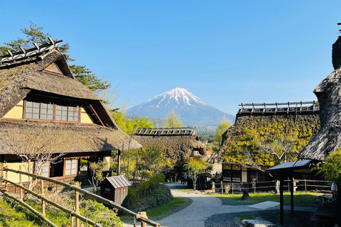 Tokyo: Mt Fuji Customizable Tour with Lakes & Pagoda