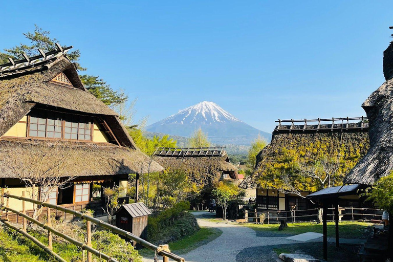 Tokyo: Mt Fuji Customizable Tour with Lakes & Pagoda