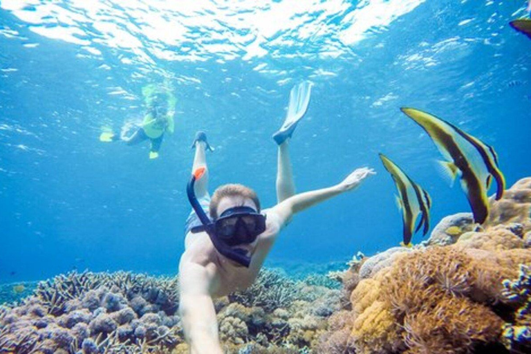 Aqaba: Private Boat Tour with Snorkeling and Lunch