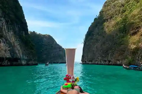 Fra Phi Phi Island: Halvdagstur med longtailbåd