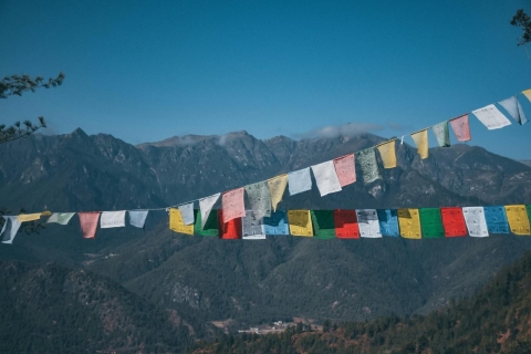 Zwarthals Kraanvogel Festival in Bhutan 2024