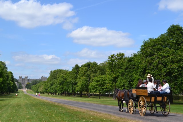 Visit Windsor Castle Heritage Horse Drawn Carriage Ride in Staffordshire, England