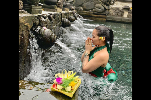 Bali Ubud Tour Monkey Forest, Waterfall, Temple & Rice Field Private Tour With Entrance Fee Tickets