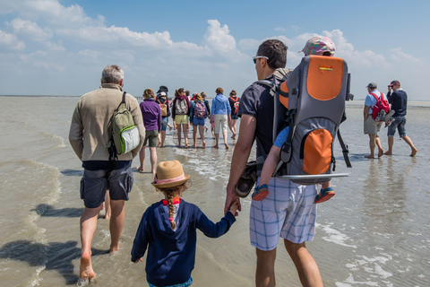 Bay of Mont-Saint-Michel: Short Walk and Discovery of the Quicksand Enjoy the High Tides
