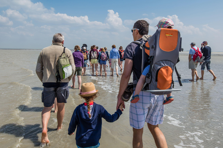Bay of Mont-Saint-Michel: Short Walk and Discovery of the Quicksand Enjoy the High Tides