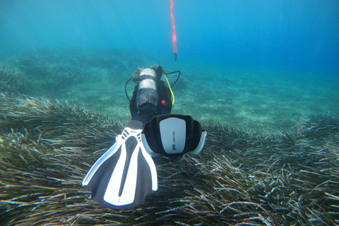 Santorini: Experiencia de submarinismo en la Caldera VolcánicaBuceo