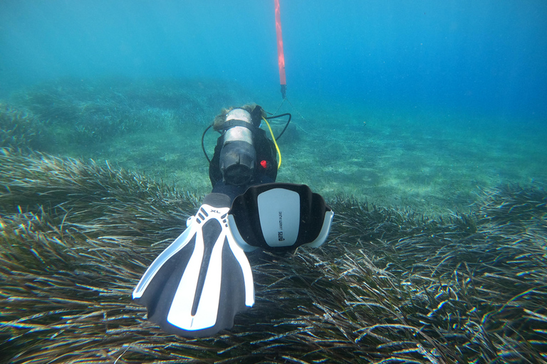 Santorini: Experiencia de submarinismo en la Caldera VolcánicaBuceo