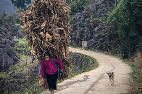 From Hanoi: 5-Day Ha Giang, Cao Bang, Ban Gioc Waterfall