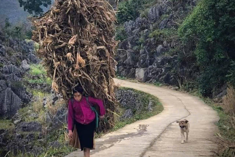 From Hanoi: 5-Day Ha Giang, Cao Bang, Ban Gioc Waterfall