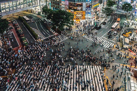 Tour de la ciudad de Tokio con conductor de habla inglesa.