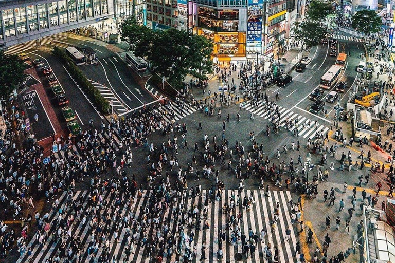 Jednodniowa wycieczka po mieście Tokio z anglojęzycznym kierowcą.