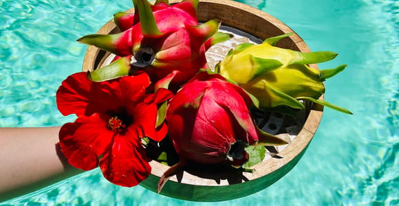 Heraklion: Dragon Fruit Farm Tour & Fresh Tasting