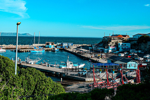 From Cape Town: Half Day Hermanus Whale Watching & Exploring