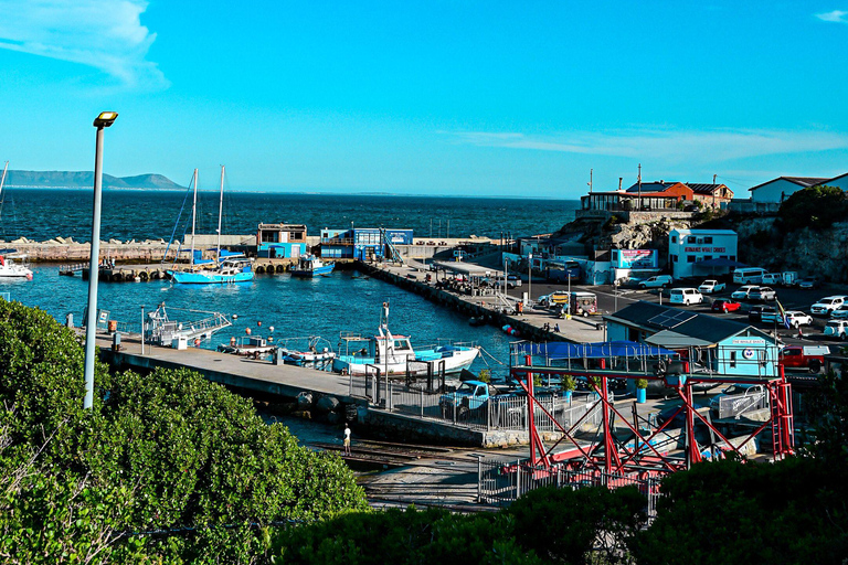 From Cape Town: Half Day Hermanus Whale Watching & Exploring